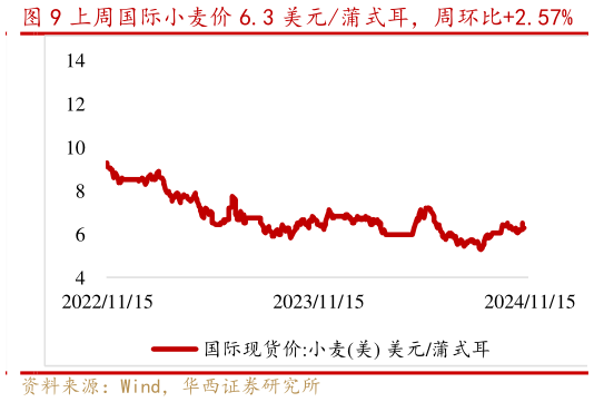 如何看待上周国际小麦价 6.3 美元蒲式耳，周环比2.57%?