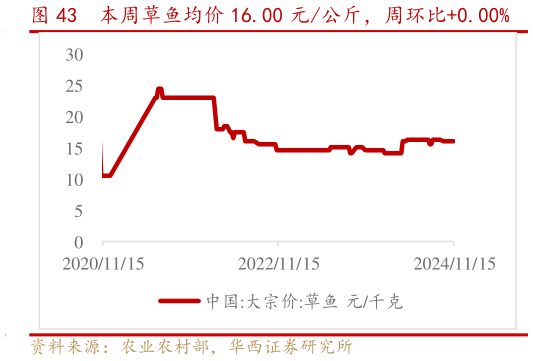 如何才能本周草鱼均价 16.00 元公斤，周环比0.00%?