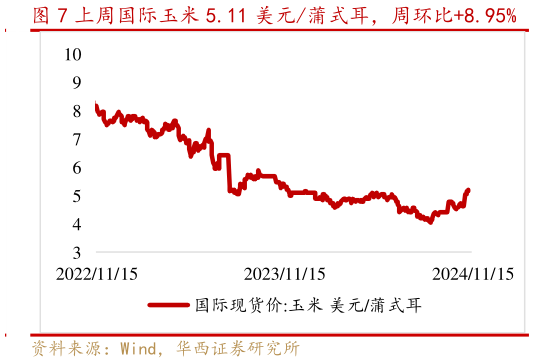 咨询大家上周国际玉米 5.11 美元蒲式耳，周环比8.95%?