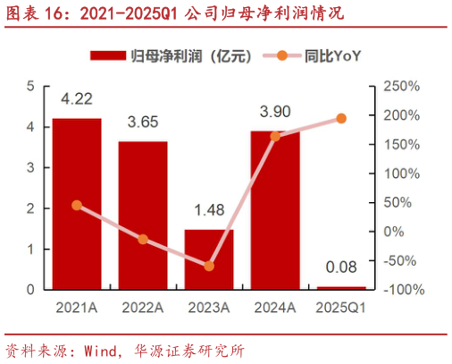 想关注一下2021-2025Q1 公司归母净利润情况