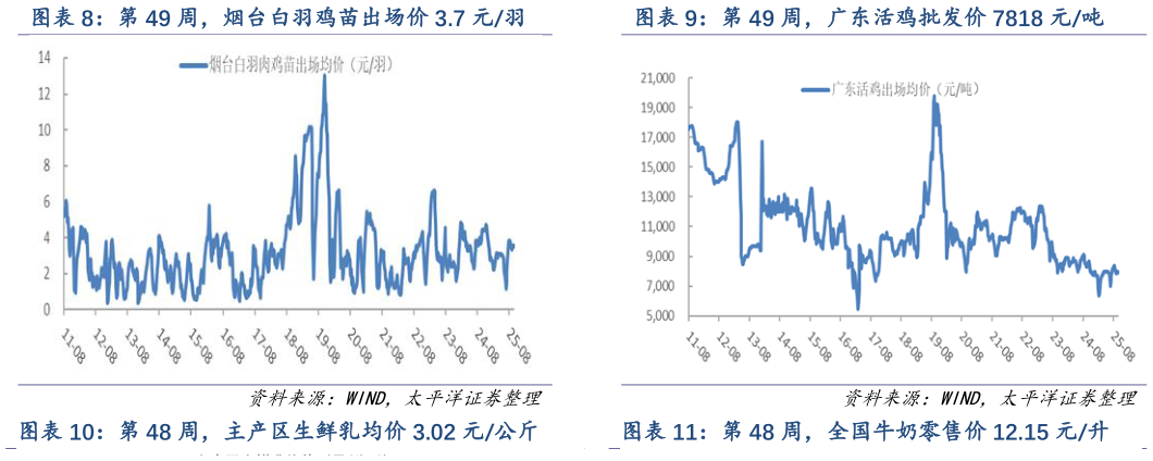 如何才能第 49 周，广东活鸡批发价 7818 元吨