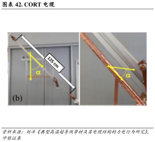 如何解释. CORT 电缆