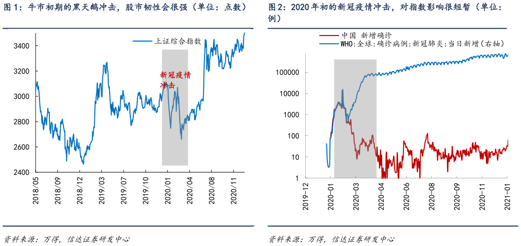如何才能牛市初期的黑天鹅冲击，股市韧性会很强（单位：点数） 2020 年初的新冠疫情冲击，对指数影响很短暂（单位：