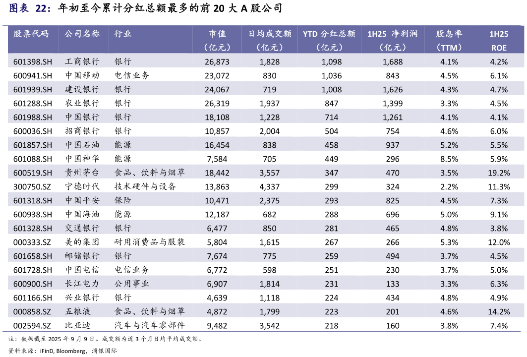 咨询大家年初至今累计分红总额最多的前 20 大 A 股公司