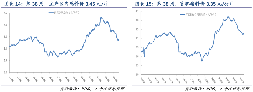 如何解释第 38 周，育肥猪料价 3.35 元公斤?