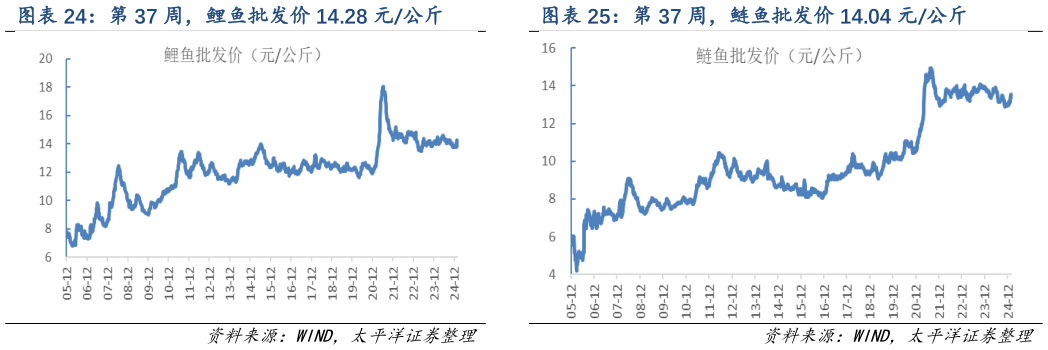 一起讨论下第 37 周，鲢鱼批发价 14.04 元公斤?