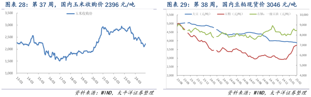 请问一下第 37 周，国内玉米收购价 2396 元吨 第 38 周，国内豆粕现货价 3046 元吨?