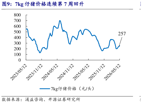 谁能回答7kg 仔猪价格连续第 7 周回升