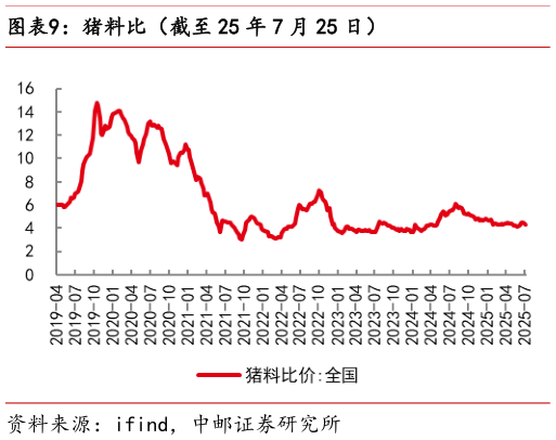谁能回答猪料比（截至 25 年 7 月 25 日）?