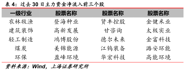 如何才能过去 30 日主力资金净流入前三个股?