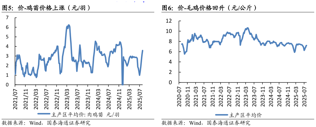 我想了解一下价-鸡苗价格上涨（元羽）价-毛鸡价格回升（元公斤）
