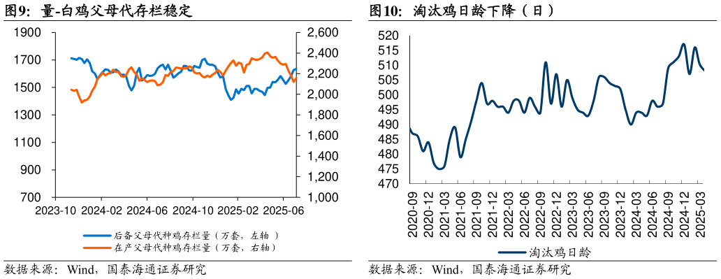 想问下各位网友淘汰鸡日龄下降（日） 价-鸡肉综合售价上涨（元吨） 量-白鸡父母代存栏稳定