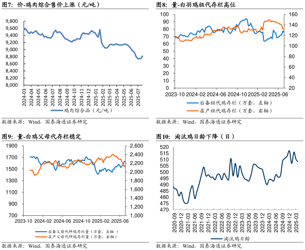 如何看待价-鸡肉综合售价上涨（元吨） 量-白鸡父母代存栏稳定
