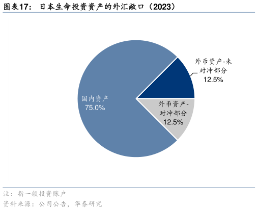 如何了解日本生命投资资产的外汇敞口（2023）