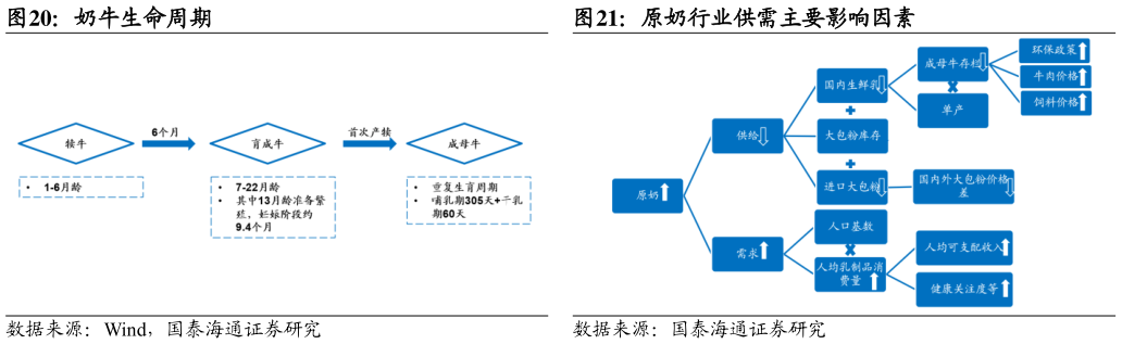 如何了解奶牛生命周期原奶行业供需主要影响因素