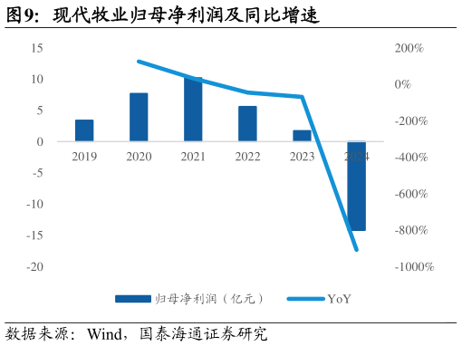 如何了解现代牧业归母净利润及同比增速?