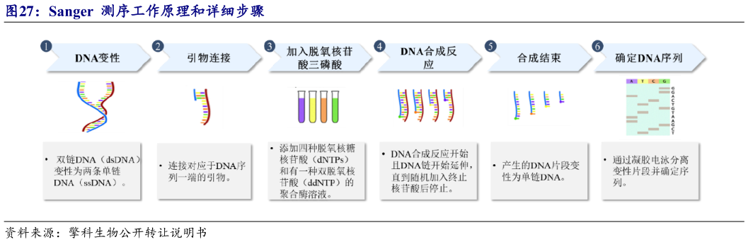 如何看待Sanger  测序工作原理和详细步骤