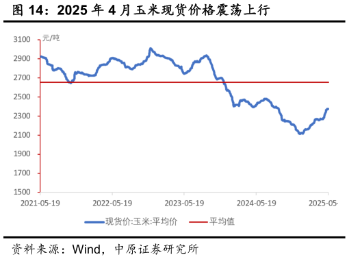 如何看待2025 年 4 月玉米现货价格震荡上行