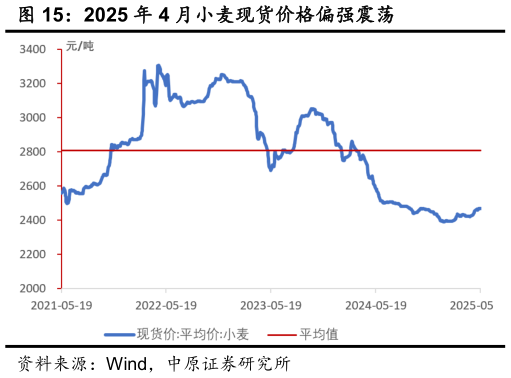 谁知道2025 年 4 月小麦现货价格偏强震荡