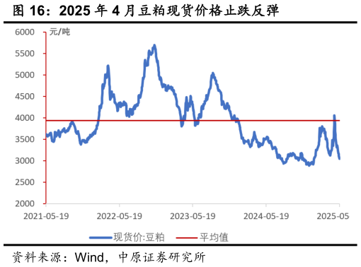 如何解释2025 年 4 月豆粕现货价格止跌反弹