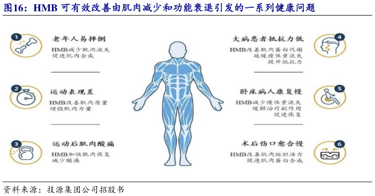 想关注一下HMB 可有效改善由肌肉减少和功能衰退引发的一系列健康问题
