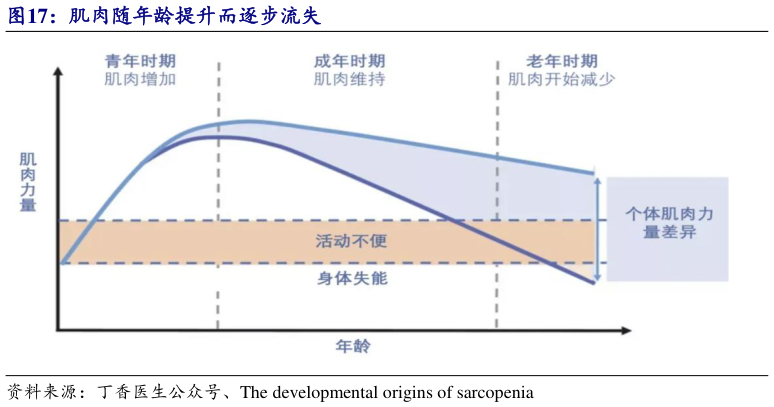 谁知道肌肉随年龄提升而逐步流失