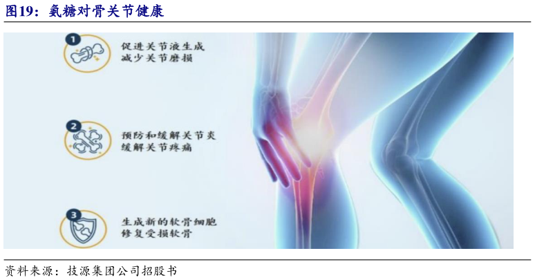 我想了解一下氨糖对骨关节健康
