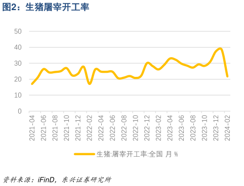 想问下各位网友生猪屠宰开工率?