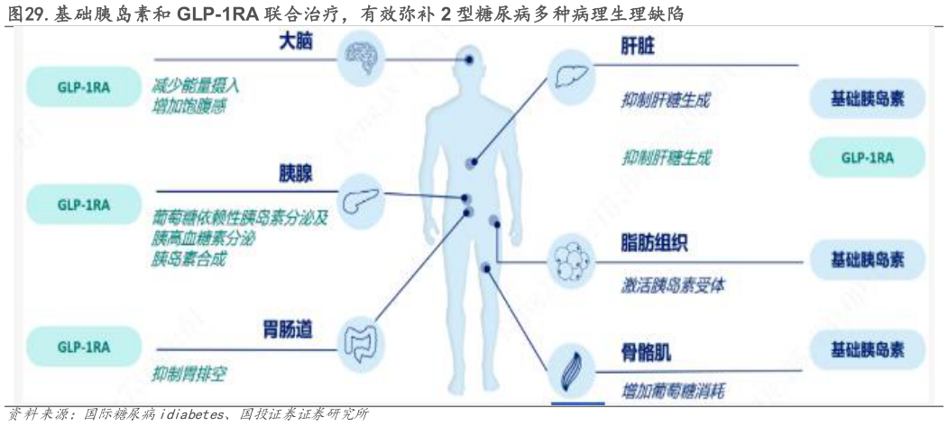 如何解释.基础胰岛素和 GLP-1RA 联合治疗，有效弥补 2 型糖尿病多种病理生理缺陷?