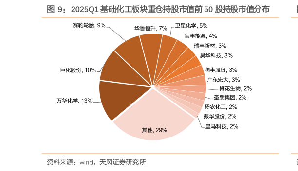 想关注一下2025Q1 基础化工板块重仓持股市值前 50 股持股市值分布