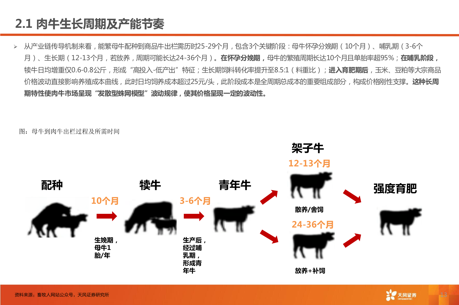 如何解释2.1 肉牛生长周期及产能节奏