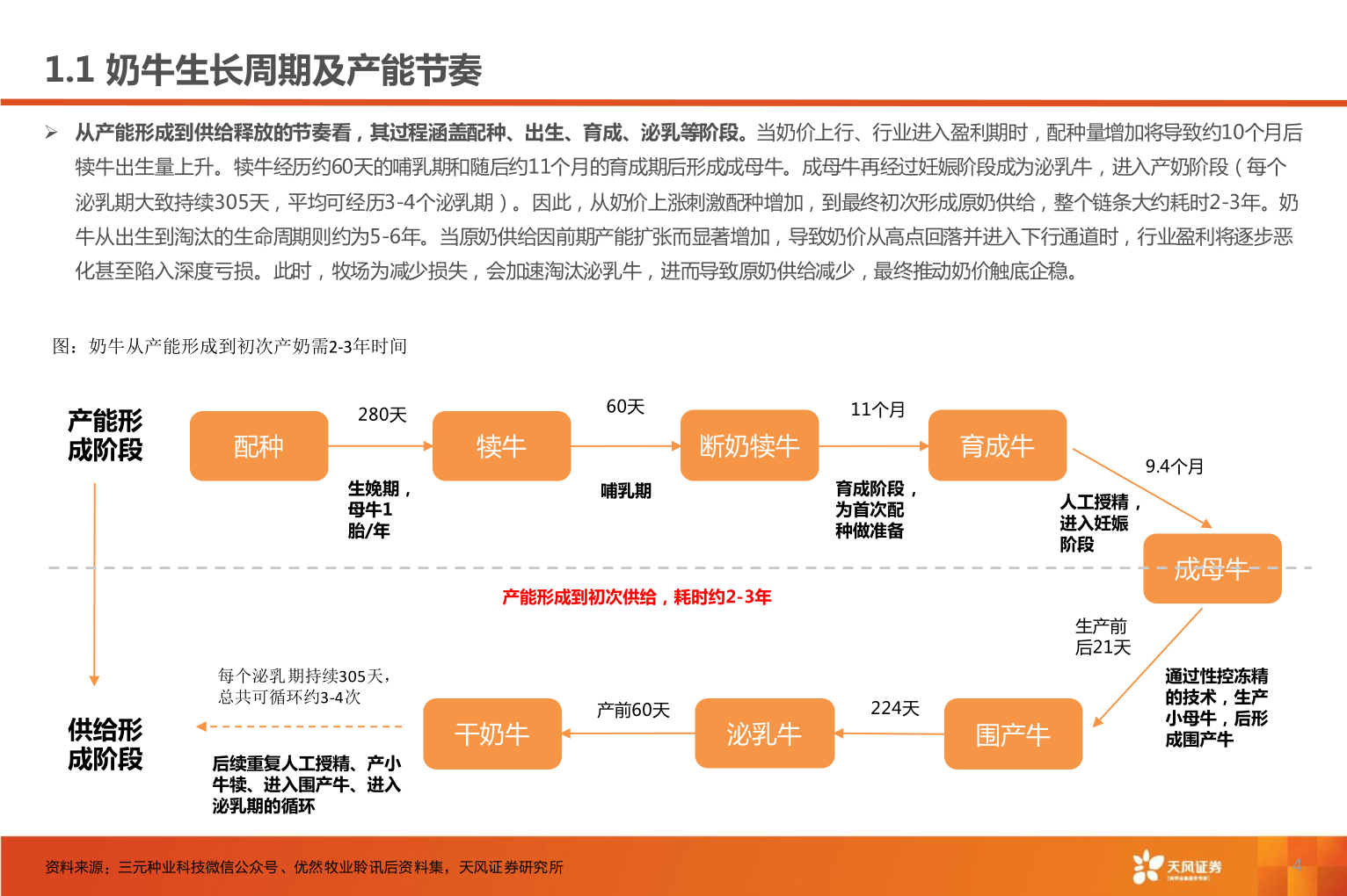请问一下1.1 奶牛生长周期及产能节奏