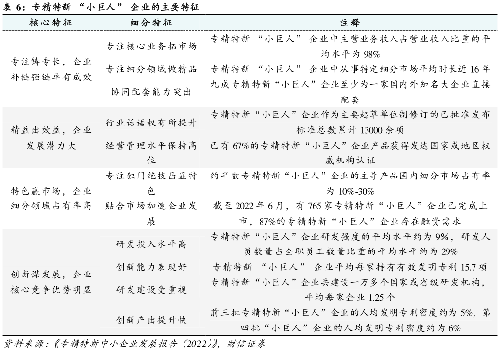 想关注一下专精特新  “小巨人”  企业的主要特征