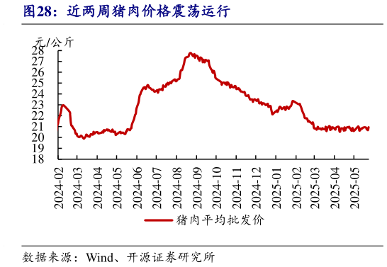 如何了解近两周猪肉价格震荡运行