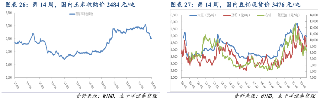 谁能回答第 14 周，国内玉米收购价 2484 元吨 第 14 周，国内豆粕现货价 3476 元吨?