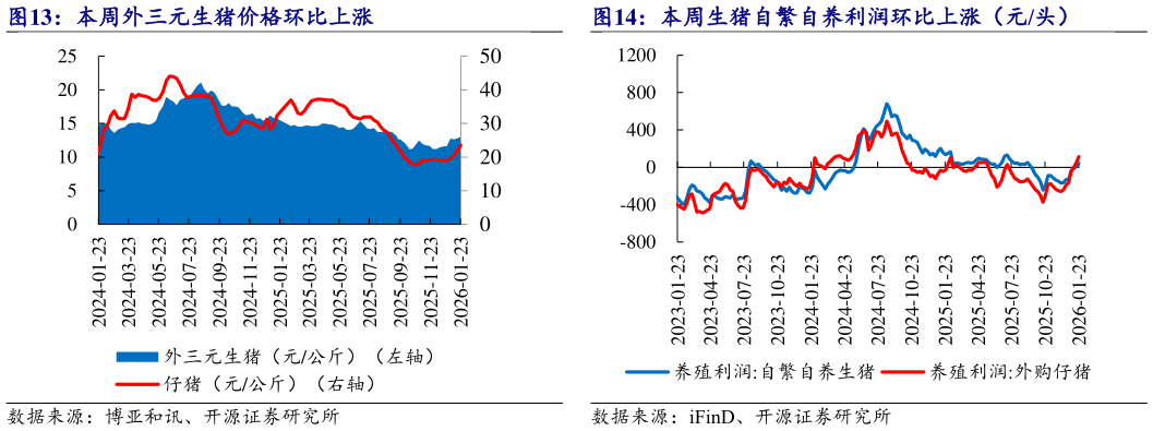 一起讨论下本周生猪自繁自养利润环比上涨（元头）
