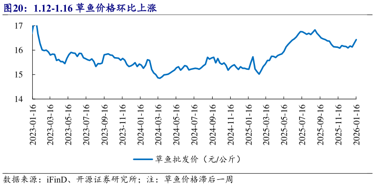 一起讨论下1.12-1.16 草鱼价格环比上涨