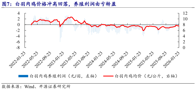 如何了解白羽肉鸡价格冲高回落，养殖利润由亏转盈