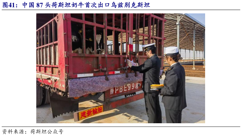 各位网友请教一下中国 87 头荷斯坦奶牛首次出口乌兹别克斯坦