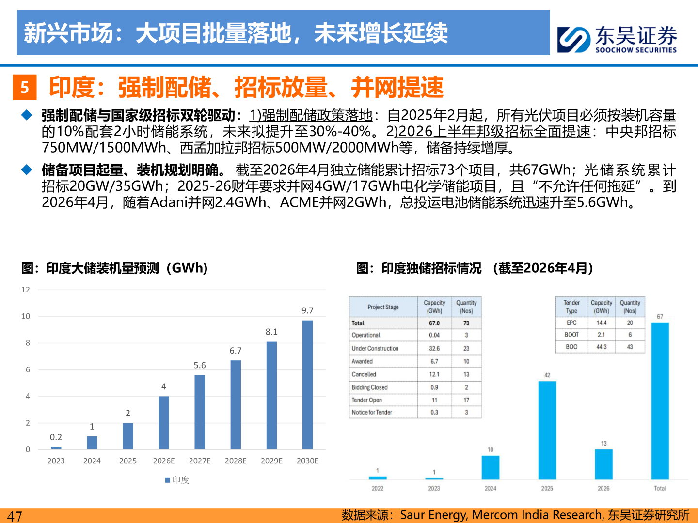 想关注一下新兴市场：大项目批量落地，未来增长延续