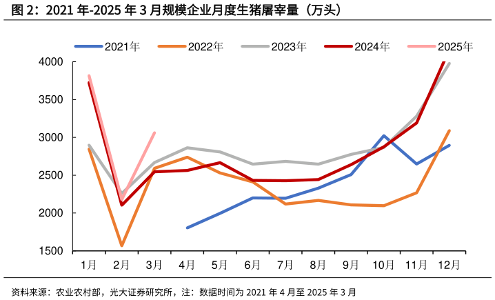 如何看待2021 年-2025 年 3 月规模企业月度生猪屠宰量（万头）?