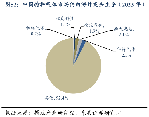 如何看待中国特种气体市场仍由海外龙头主导（2023 年）