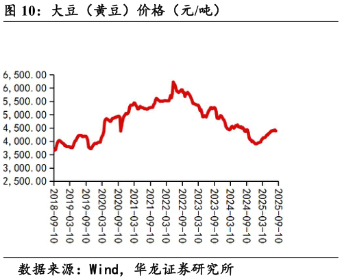咨询下各位大豆(黄豆)价格(元吨)?