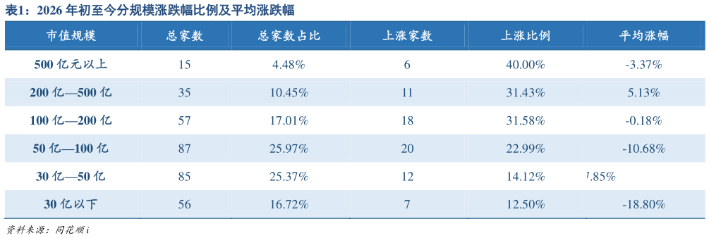 如何了解2026 年初至今分规模涨跌幅比例及平均涨跌幅