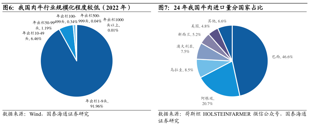 请问一下我国肉牛行业规模化程度较低(2022 年)24 年我国牛肉进口量分国家占比?