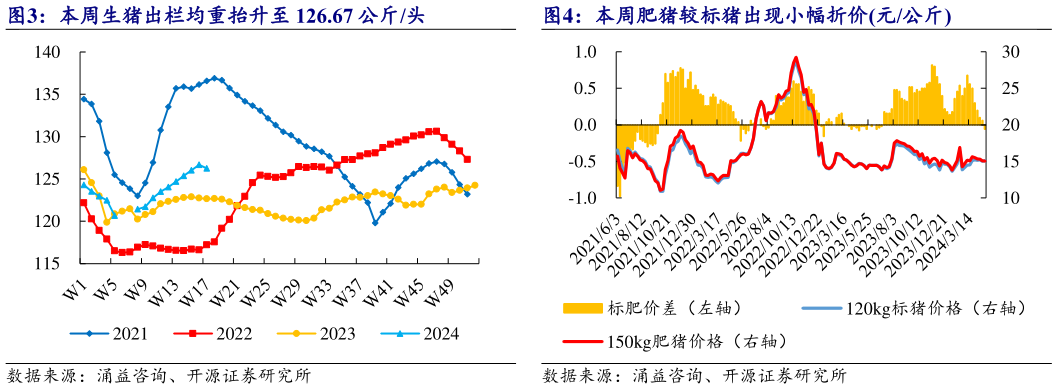 谁知道本周生猪出栏均重抬升至 126.67 公斤头 本周肥猪较标猪出现小幅折价元公斤?