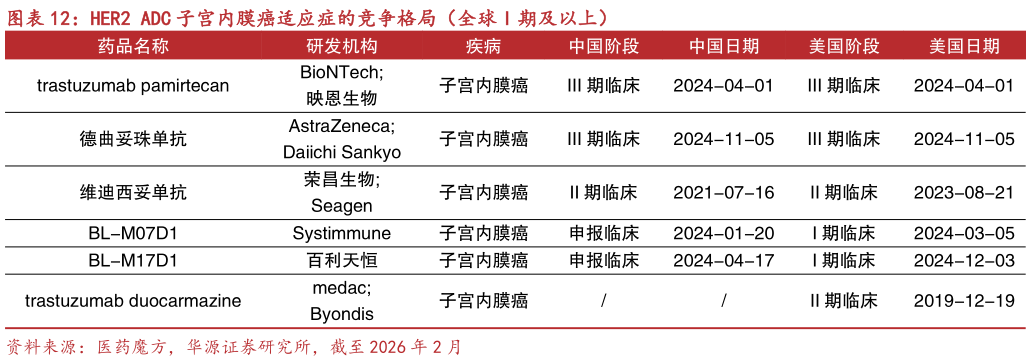 请问一下HER2 ADC 子宫内膜癌适应症的竞争格局（全球 I 期及以上）?