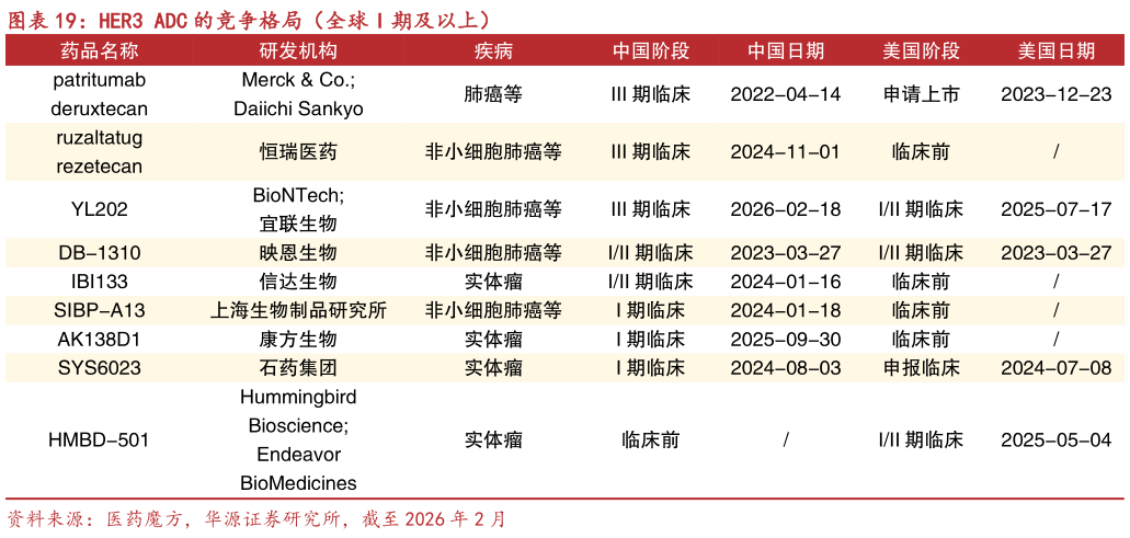 咨询大家HER3 ADC 的竞争格局（全球 I 期及以上）?