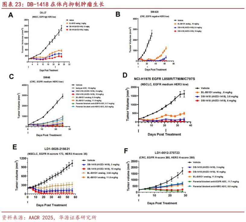 怎样理解DB-1418 在体内抑制肿瘤生长?
