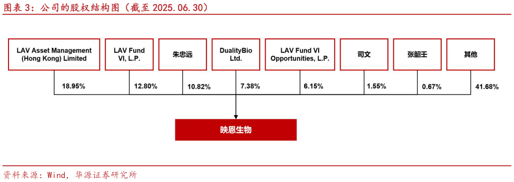 想问下各位网友公司的股权结构图（截至 2025.06.30）?